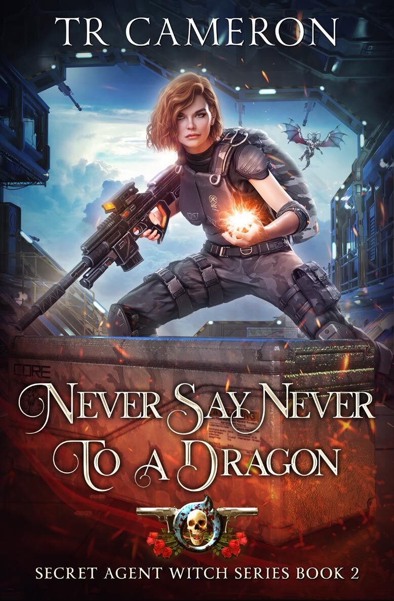 02 Never-Say-Never-To-A-Dragon-Amazon